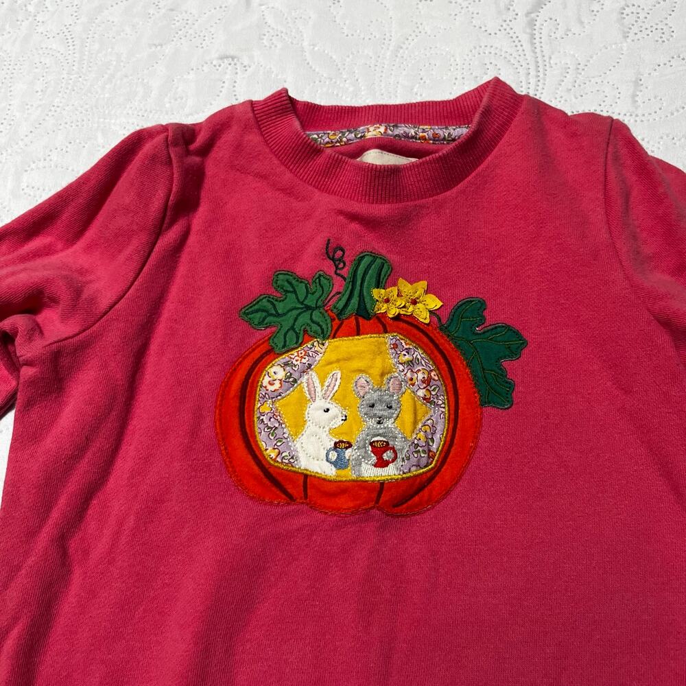 Mini Boden Woodland Creatures Pumpkin Appliqué Sweatshirt Size 3/4 - Picture 3 of 5